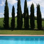 Agriturismo San Carlo