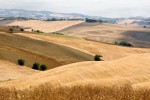 tuscany landscape