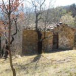 Copia di Podere Mandorli 001  fronte