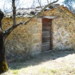 Podere Mandorli 002 fronte