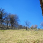 Podere Mandorli 006 vista fronte