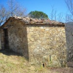 Podere Mandorli 007  lato