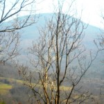 Podere Mandorli 011 vista panoramica destra