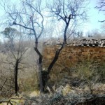 Podere Mandorli 012 lato