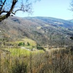 Podere Mandorli 013 vista panoramica centro - sinistra