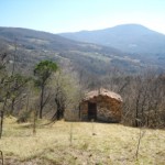 Podere Mandorli 016 vista fronte casa