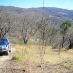 Podere Mandorli 017 strada di accesso