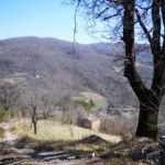 Podere Mandorli 018 strada di accesso