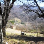 Podere Mandorli 019 strada di accesso entrata