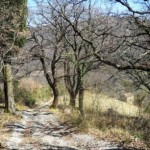 Podere Mandorli 025 strada di accesso