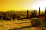 paesage toscane