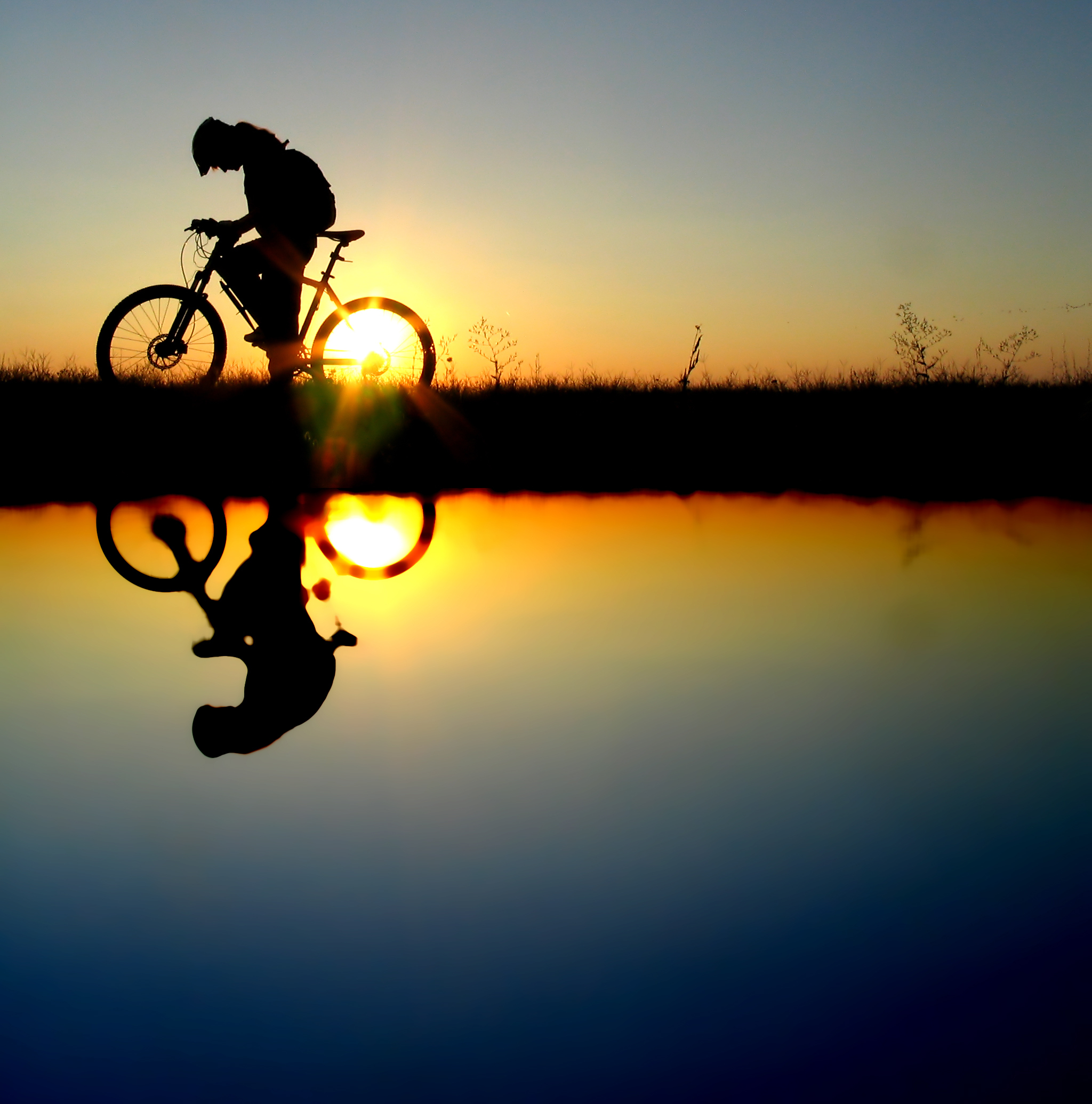 shutterstock_5219539