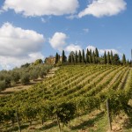 winery-tuscany